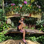 Veronica Silva Biggs - @veronica.silva.biggs - Instagram