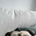 Veronica Bills - Facebook