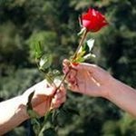 veronica boyer - @vboyer1942 - Instagram