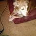 Veronica Burke-Bragg - Facebook