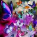 Veronica Buentello - Facebook