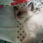 Veronica S. Bugarin - @veronicas.bugarin - Instagram