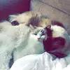 Veronica Butler - @veronica.butler1 - TikTok