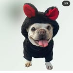veronica canales - @dog_shop_ropa - Instagram