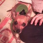 veronica candelaria castañeda - @veroy_dikys - Instagram