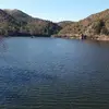 veronicacanelo250 - @veronicacanelo250 - TikTok