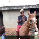 Verônica Canuto - @canutoveronica - Instagram