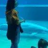 veronicacappello3 - @veronicacappello3 - TikTok