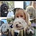 Veronica Caracciolo - Facebook