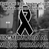 Veronica Careaga809 - @veronicacareaga80 - TikTok