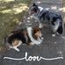 Veronica Cargill - Facebook