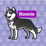 Veronica Carlson - @veronicathehusky_ - Instagram