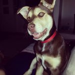 Veronica Carlson - @koolharotimes - Instagram