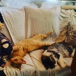 Verónica Casarez - @casaresveronica54 - Instagram