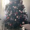 Veronica.7337 - @veronicacecena44 - TikTok