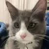 Veronica Cendejas - @veronica.cendejas6 - TikTok
