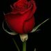 Veronica Centeno - Facebook