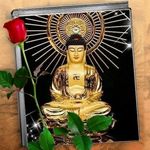 Veronica Chandra - @veronica.chandra.9674 - Instagram