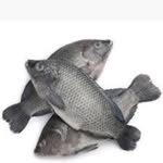 Veronica Charo chacha - @kamanga_fish_supply - Instagram