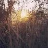 VeronicaChase - @veronicachase8 - TikTok
