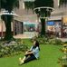 Veronica  Cheng - Facebook