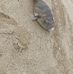Veronica Chico - Facebook