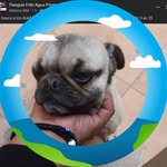 Veronica Chico - @vero_nicachico - Instagram