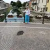 veronicachico1 - @veronicachico1 - TikTok
