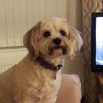 Veronica Clements - @veronicaclements4 - Instagram