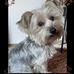 Veronica Coca - Facebook