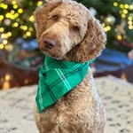 Veronica Colby Midgley - @savagesprouts - Instagram
