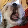 veronicacolby - @veronicacolby - TikTok
