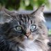 Veronica Colonna - Facebook