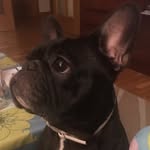 Verónica Conde - @vcnd77 - Instagram