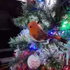 Veronica Connor - @veronica.connor4 - TikTok