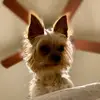 Veronica Correa - @vcorrea91 - TikTok