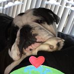 Veronica Costello - Facebook