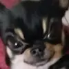 VeronicaDecker - @whalvjekyqs - TikTok