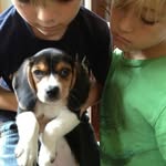 Veronica Padula Dennison - @veronicapdennison - Instagram