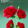 Veronica Diego - @veronica.diego19 - TikTok