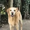 veronica.duff - @veronica.duff - TikTok