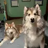 veronicaduffield5 - @veronicaduffield5 - TikTok