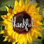 Veronica Earley - @veronica.earley.37 - Instagram