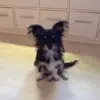Veronica Maria Ekman - @user9201108317620 - TikTok
