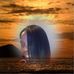 Veronica Ellison - Facebook