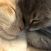 Veronica Erickson - Facebook