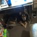 Veronica Erwin - Facebook