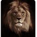Veronica Everson - Facebook