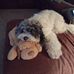 Veronica Finkle - Facebook
