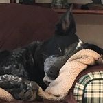 Veronica flaherty - @oldsproutsgirl - Instagram